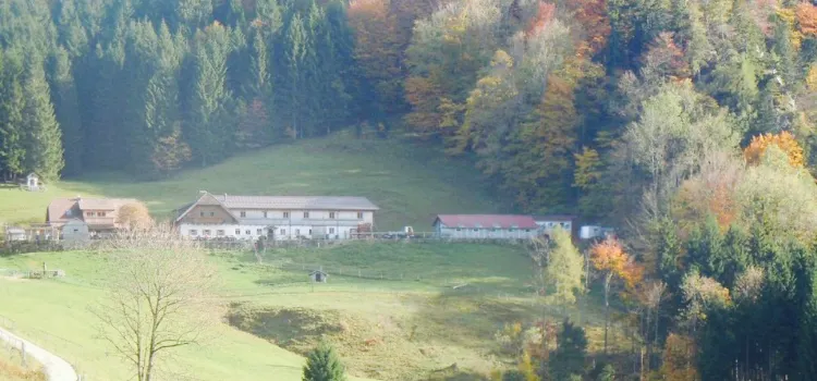 Almgasthof Hochsteinalm