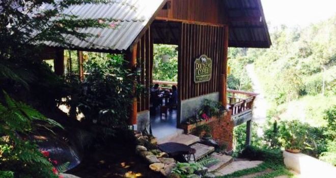 Doi-Taeng Coffee