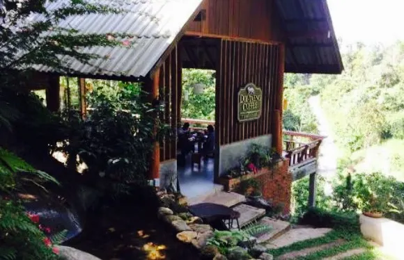 Doi-Taeng Coffee