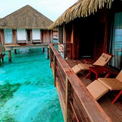 Coral Bar & Lounge User Photo