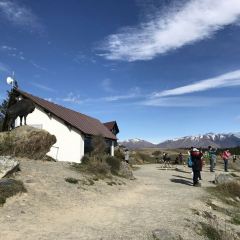 Mount Cook Alpine Salmon張用戶圖片