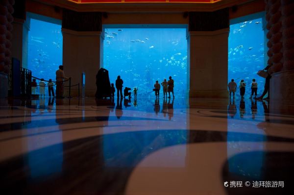 杜拜失落的空間水族館