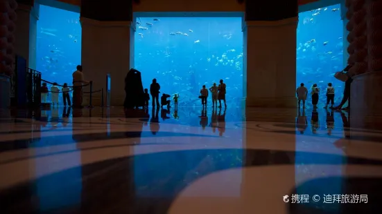 杜拜失落的空間水族館
