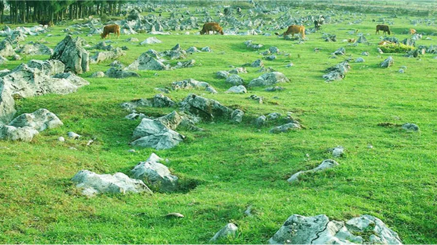 5_重慶千野草場景區
