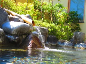 Hot Springs in Hakone