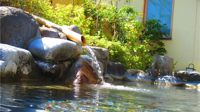Hot Springs in Hakone