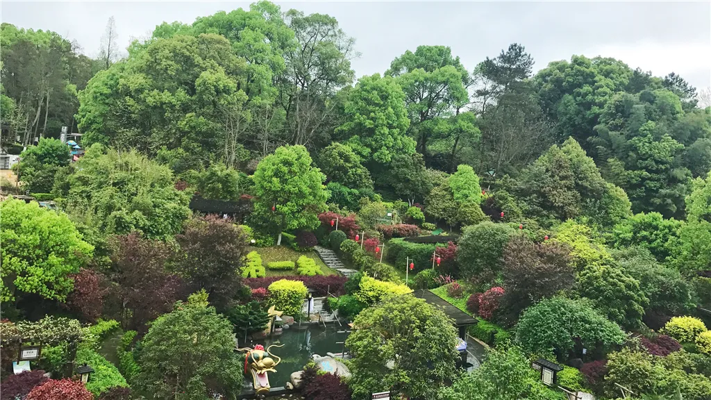 3_紫龍灣溫泉