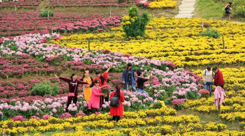 Hotels near Wunao Mountain Forest Park