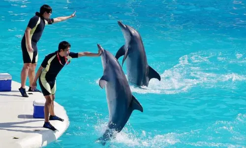 Yehliu Ocean World