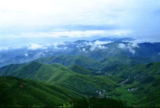 모간산