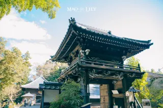 九州大分 日本溫泉鄉的別樣玩法 別府 由步院 高崎山 遊記攻略 Trip Com遊玩攻略