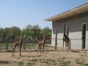 Shijiazhuang Zoo