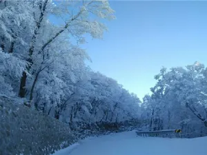 Renzu Mountain Scenic Area