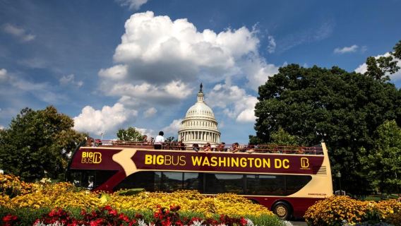 Big Bus Washington DC Hop-On Hop-Off bus tour(Open-Top)