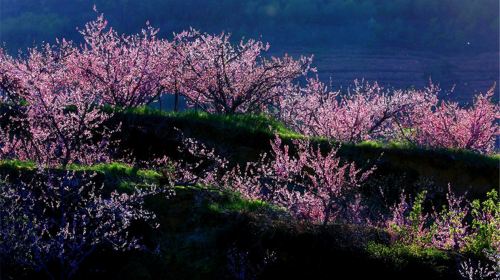 Daimei Mountain Scenic Area