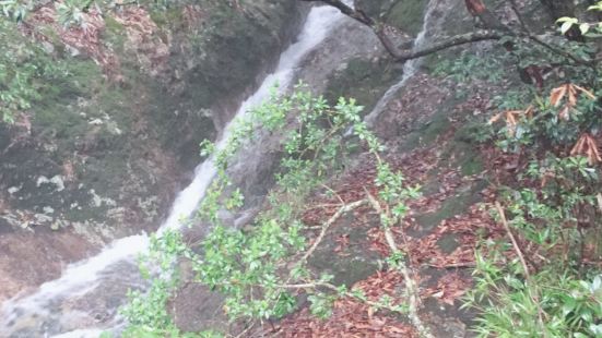 景色很美的，不愧为江浙第一高峰！推荐登山爱好者爬行，我们同行