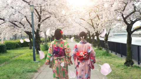 大阪で着物体験 attraction in 大阪