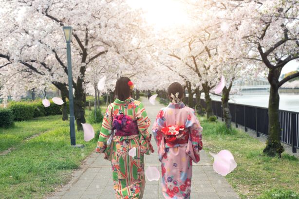 Pengalaman Berkimono di Osaka