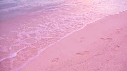 Pink Sands Beach