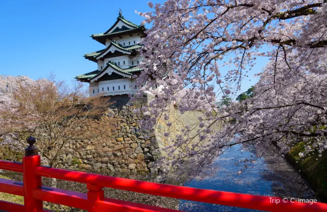 青森：東北隱祕之地，一年四季驚喜不斷