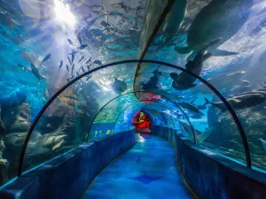 Polar Ocean World