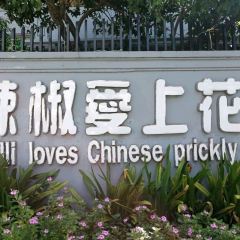 Chilli Loves Chinese Prickly Ash User Photo