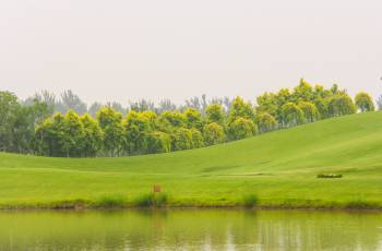 Incredible Wildlife Areas