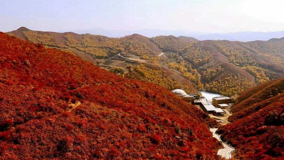 หลินฮูกูเซ