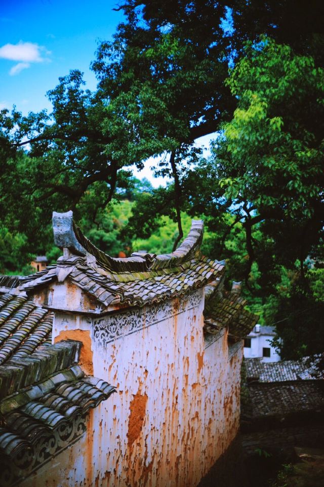 楊家堂村