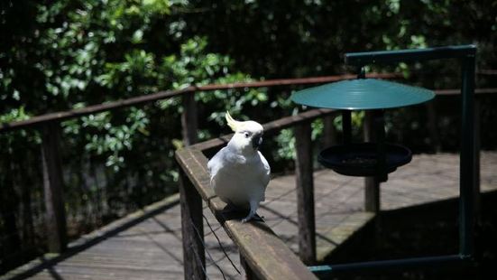 道格拉斯港野生動物棲息地動物園沿着道格拉斯港美麗而蜿蜒的海岸