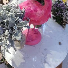 Menton User Photo