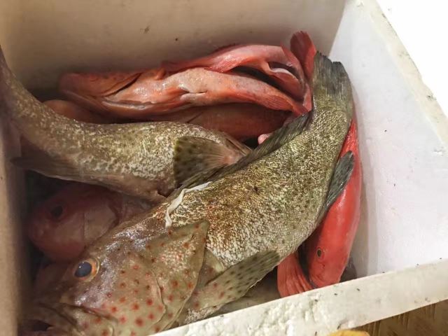 海灣中餐廳(美瑞莎店)