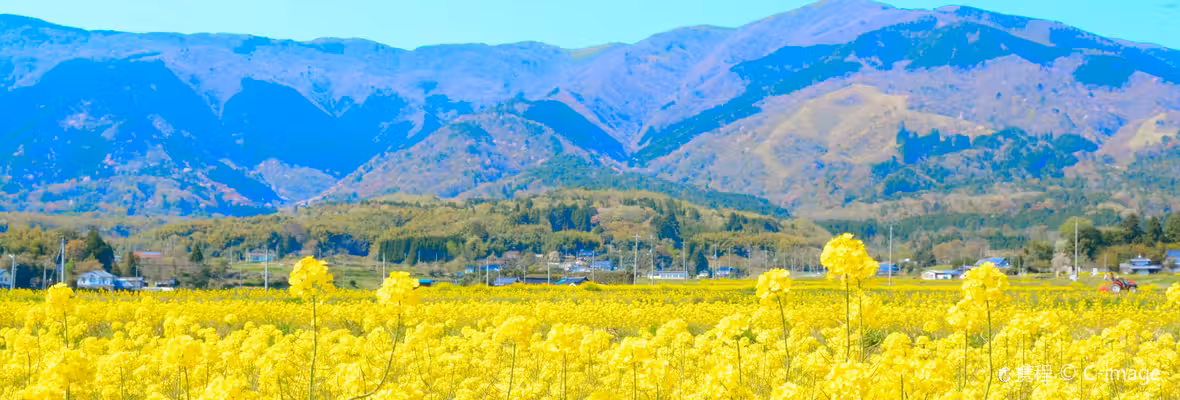 Tokyo to Okayama City Flights