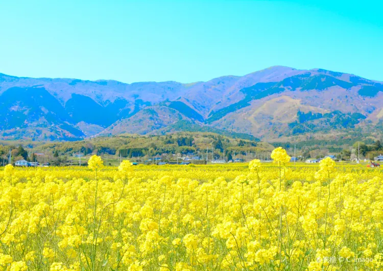 岡山の天気、岡山の気温ガイド、旅のベストシーズン、服装のおすすめ