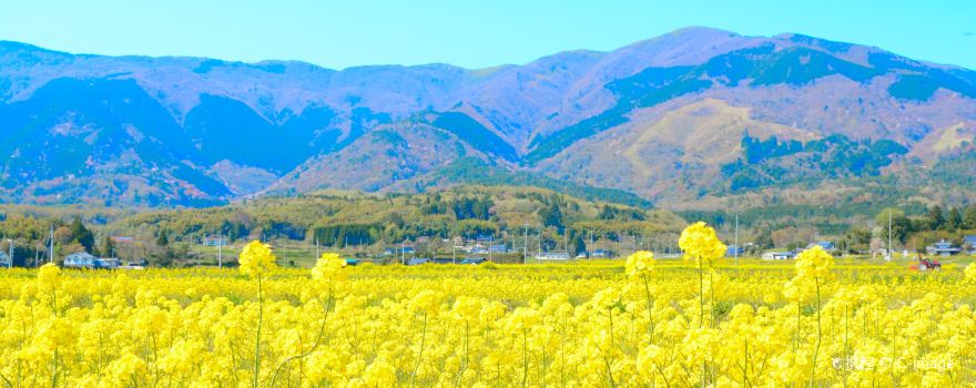岡山