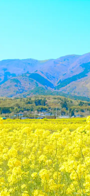 鄰近表町商店街的酒店