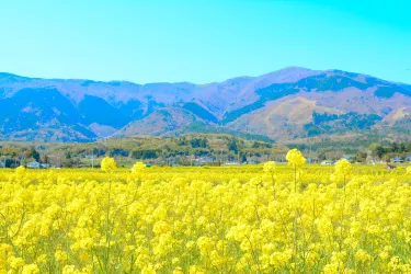 岡山