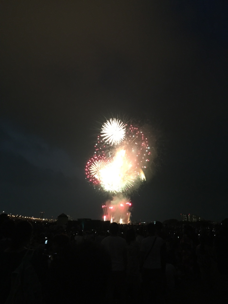 江戸川区花火大会のレビュー 江戸川区花火大会のチケット 江戸川区花火大会の割引 江戸川区花火大会の交通機関 所在地 営業時間 江戸川区花火大会周辺の観光スポット ホテル グルメ Trip Com