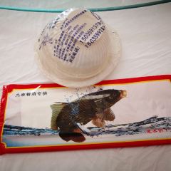 Yangjizaliangyufu User Photo