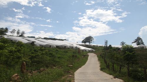 Guanju Riverside