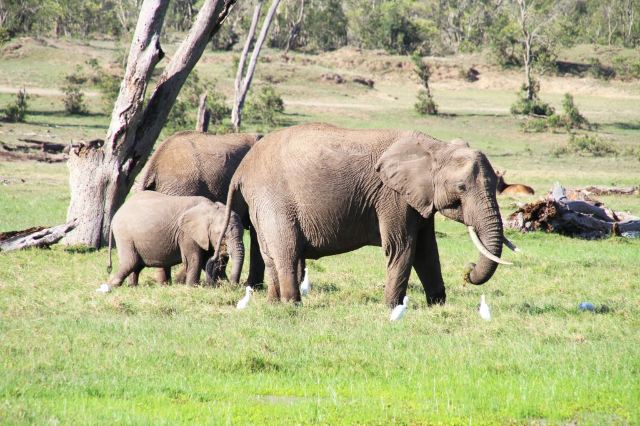 Sweetwaters Game Reserve
