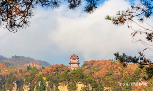 張家界國家森林公園
