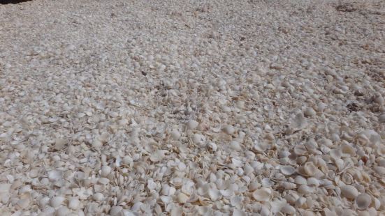 雷頓海灘因為它的沙灘上到處都是白色的貝殼，因此也被稱為貝殼沙