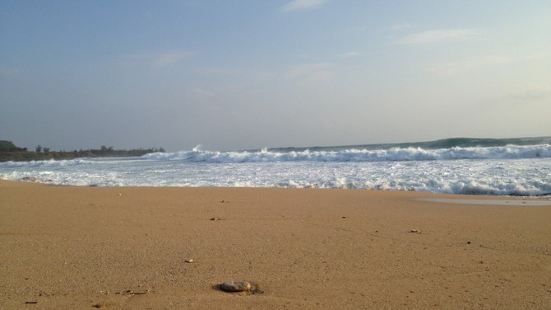 白沙湾是一个海水浴场，是由贝壳体形成的沙滩，沙子洁白、晶莹、