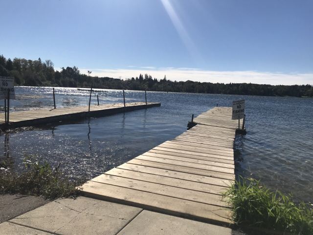 Wilcox Lake