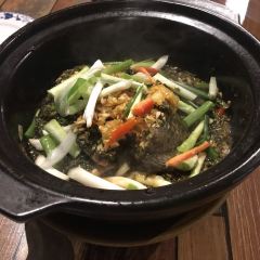 三棵棕包树农家小院 User Photo