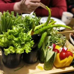 Najialaoyuanziminsutucai (ningshan) 여행 사진