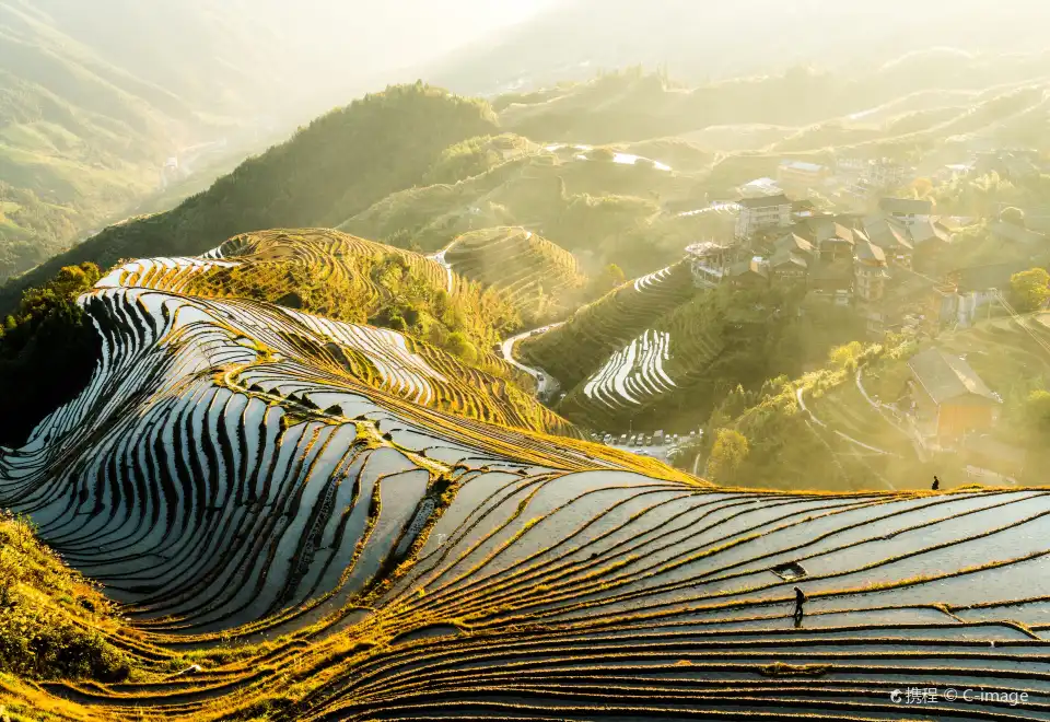 Welcome New York Times Square Countdown Ceremony VIP Pass