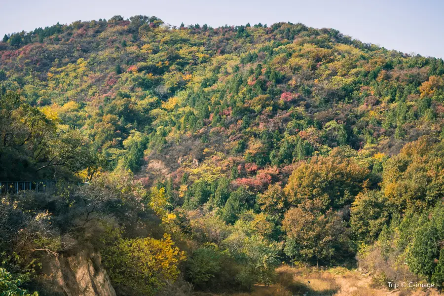 바이왕산 삼림공원