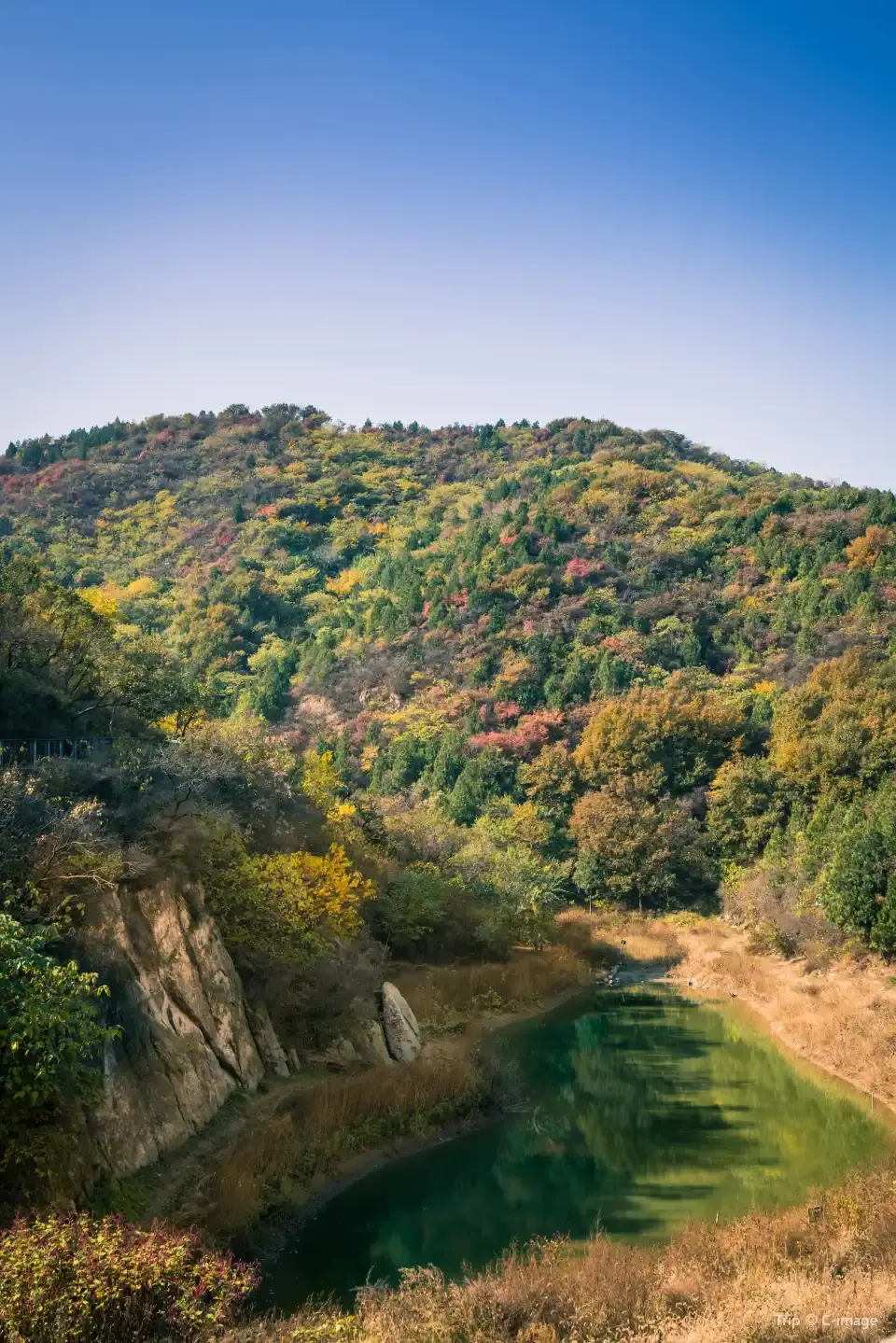 1_百望山森林公園
